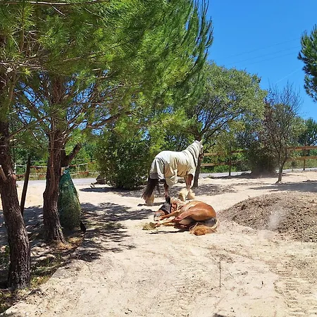 Casadani Inez, Tomar 3* Carregueiros